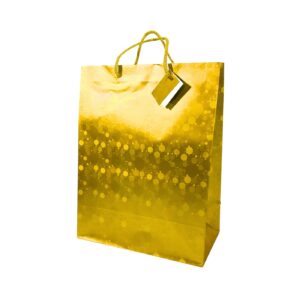 Large Hologram Gift Bag