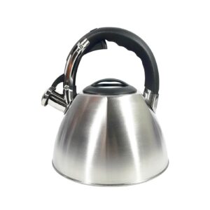 3 Qt Stainless Steel Whistling Kettle 'Mr. Coffee'