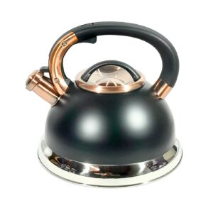 2.1Qt Stainless Steel Matte Black Tea Kettle