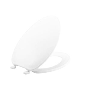 White Plastic Toilet Seat