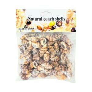 100g Conch Shells