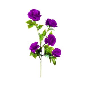 5 Head Jumbo Rose on 50" Stem