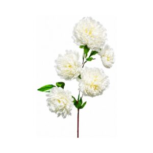 5 Head Jumbo Carnations on 46" Stem