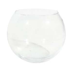 3.25" x 4" Fish Bowl Glass Vase