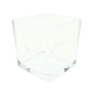 3" Cube Glass Vase