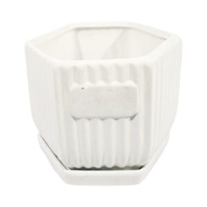 4" x 3.75" 6 Sided Ceramic Planter w/ Plate