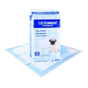 30ct 23" Scented Pet Training Pad 'Lil' Buddies' (Blue)