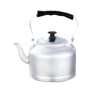 18cm Aluminum Polished Tea Kettle