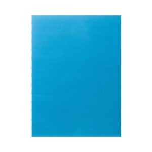 22" x 28" Light Blue Poster Board 'Bazic'