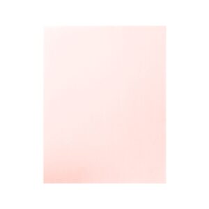 22" x 28" Pink Poster Board 'Bazic'