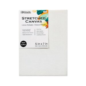 5" x 7" Stretched Canvas 'Bazic'