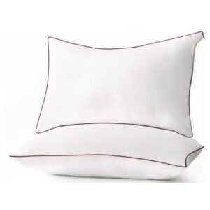 2pc 18" x 28" Queen Size Pillow