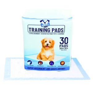 30ct 45g 28" x 30" XL Pet Training Pads