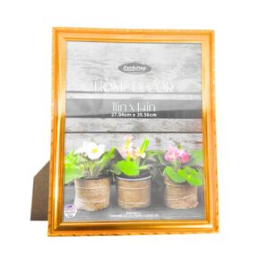 11" x 14" Photo Frame w/ Gold Frame