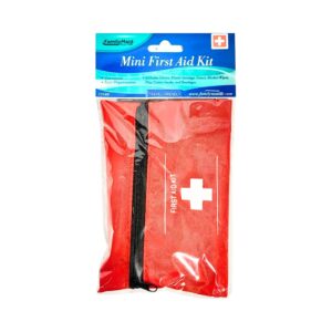 Mini First Aid Kit in Zippered Case